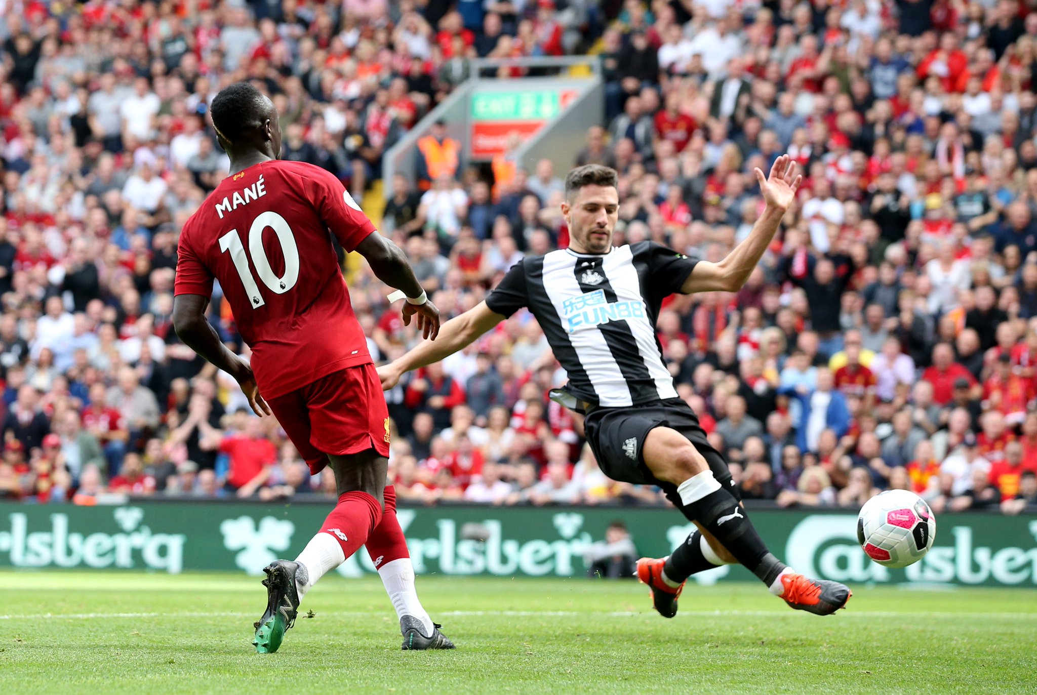 阅尽千帆 阅尽千帆